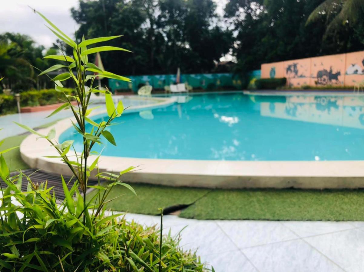 סרימנגל Tea Heaven Resort מראה חיצוני תמונה